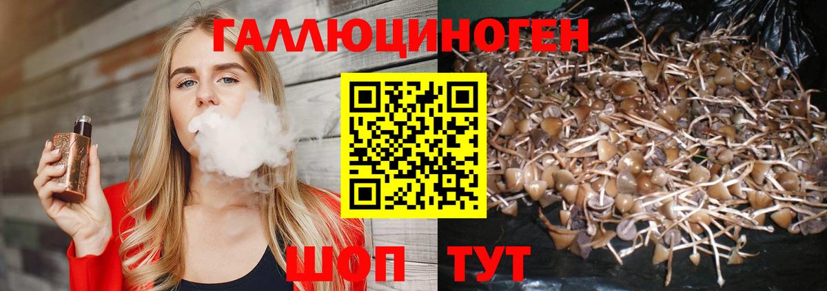 Галлюциногенные грибы MAGIC MUSHROOMS  Вход с VPN  Киров  Псилоцибиновые грибы MAGIC MUSHROOMS 
